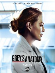 Grey's Anatomy saison 17