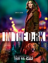 In the Dark (2019) saison 1