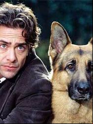 Rex, chien flic saison 2